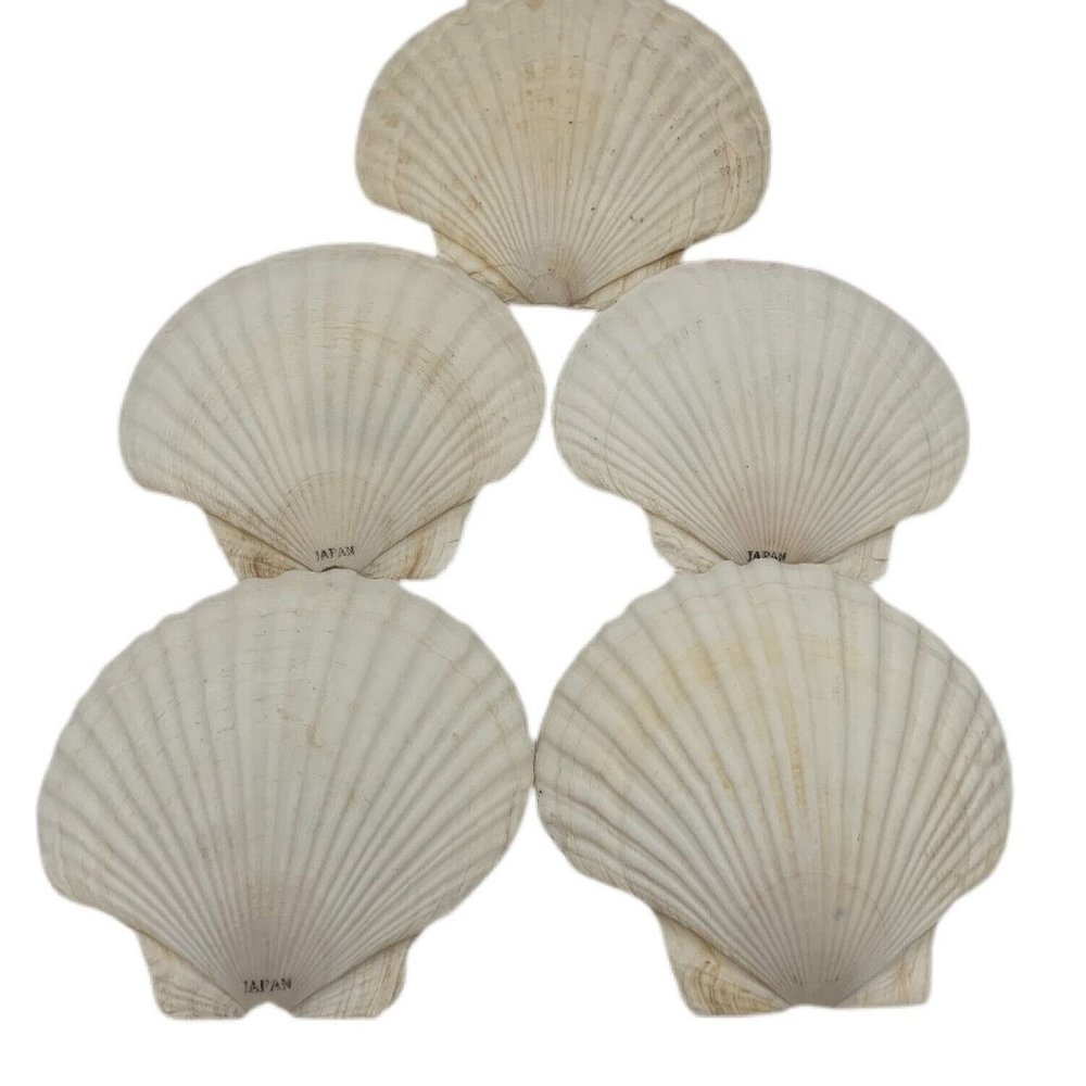 Vintage Unique Seashell Dishes Made In Japan 100% Authentic Shell Out Of The Sea